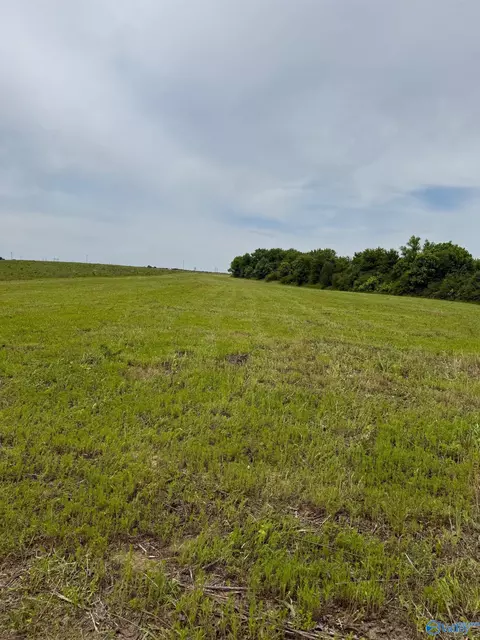 15 98 Acres County Road 154, Section, AL 35771 photo 6