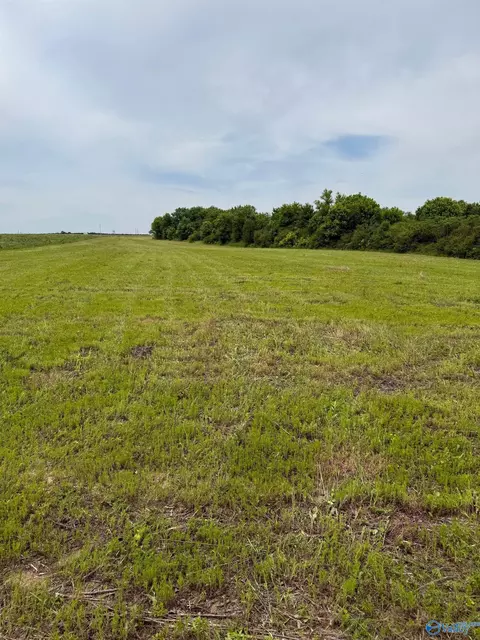 15 98 Acres County Road 154, Section, AL 35771 photo 8