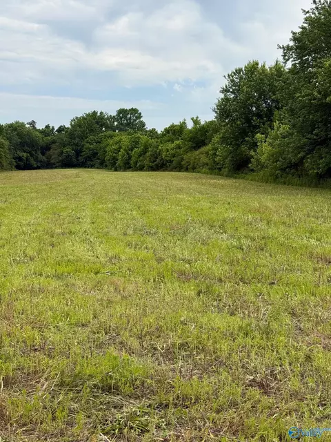 15 98 Acres County Road 154, Section, AL 35771 photo 20