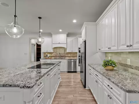 Kitchen - 9 Braewick Pl, Gurley, AL 35748 photo 3 of 3