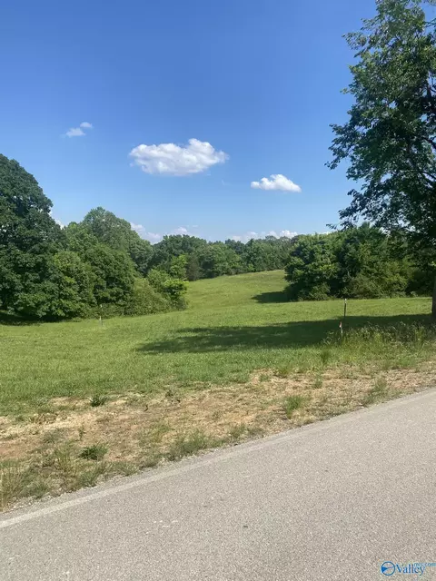 19 27 Acres County Road 656, Anderson, AL 35610