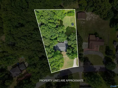 View/Area - 222 Dee Ann Rd, Trinity, AL 35673 photo 2 of 5