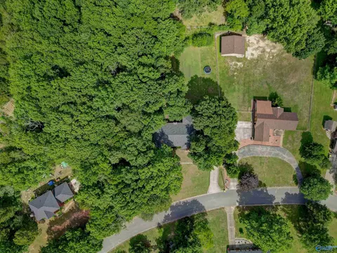 View/Area - 222 Dee Ann Rd, Trinity, AL 35673 photo 1 of 5