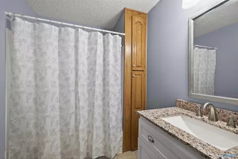Bath - 222 Dee Ann Rd, Trinity, AL 35673 photo 2 of 3