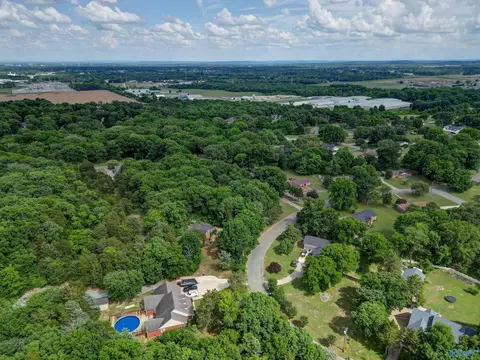 View/Area - 222 Dee Ann Rd, Trinity, AL 35673 photo 4 of 5
