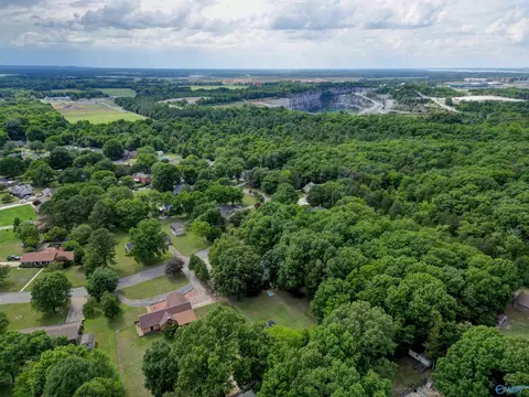 View/Area - 222 Dee Ann Rd, Trinity, AL 35673 photo 5 of 5
