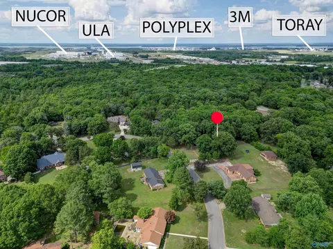 View/Area - 222 Dee Ann Rd, Trinity, AL 35673 photo 3 of 5
