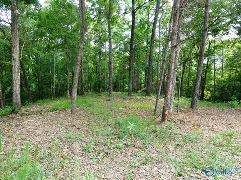 lot77 Broken Arrow, Jasper, AL 35504