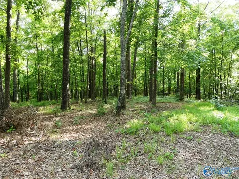 lot50 Harbor Loop, Jasper, AL 35504