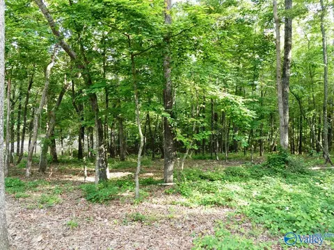 lot49 Harbor Loop, Jasper, AL 35504 photo 5