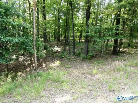 lot49 Harbor Loop, Jasper, AL 35504 photo 2