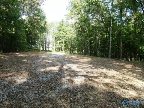 lot49 Harbor Loop, Jasper, AL 35504 photo 6