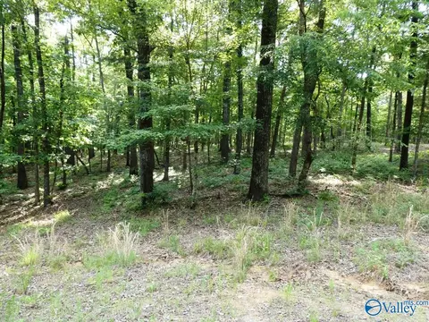lot49 Harbor Loop, Jasper, AL 35504 photo 3
