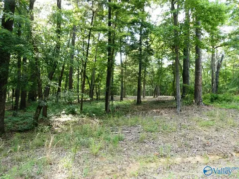 lot49 Harbor Loop, Jasper, AL 35504 photo 4