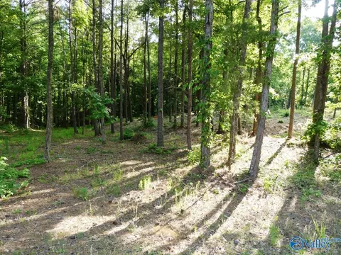 lot75 Harbor Lights Trl, Jasper, AL 35504