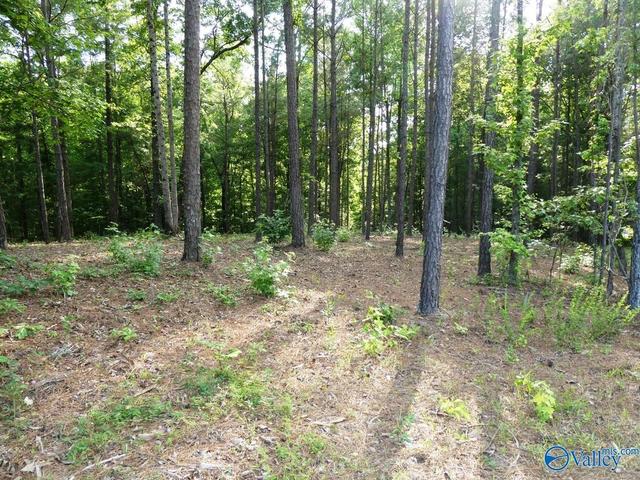 lot74 Harbor Lights Trl, Jasper, AL 35504