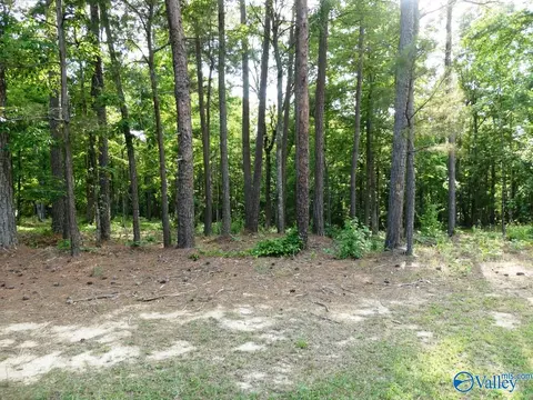 lot73 Harbor Lights Trl, Jasper, AL 35504