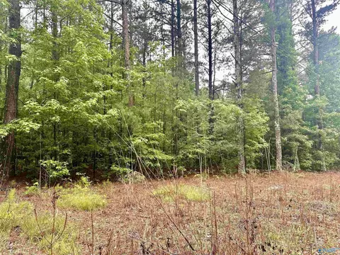 1508 Rabbittown Rd, Glencoe, AL 35905