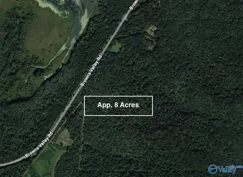 Tract 1 Browns Valley Road, Guntersville, AL 35976