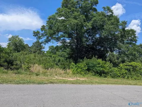 0 55 Acre Mt Vernon Rd, Boaz, AL 35957