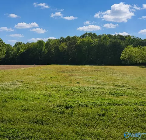 11650 Burgreen Rd, Madison, AL 35756