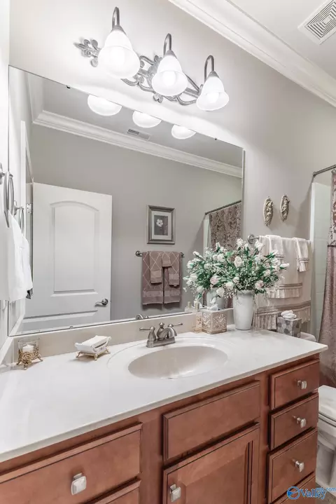 Bath - 102 Abbott Ln, Madison, AL 35756 photo 3 of 4
