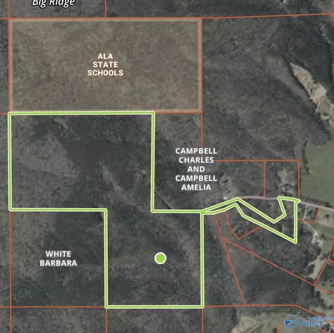 1965 Alabama Highway 11, Collinsville, AL 35961