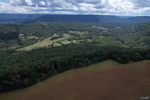 9 5 Ac County Road 75, Flat Rock, AL 35966