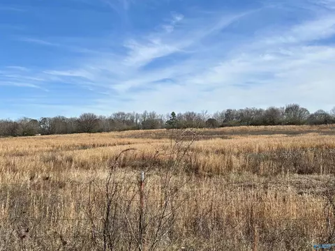 1 5 Ac Lot 1 Strange Rd, Horton, AL 35980