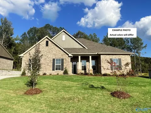102 Lc Sparks Ave, Meridianville, AL 35759