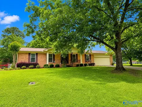 3582 Vistamont Cir, Southside, AL 35907