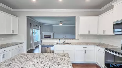 Kitchen - 8790 Segers Trail Loop, Madison, AL 35756 photo 3 of 3