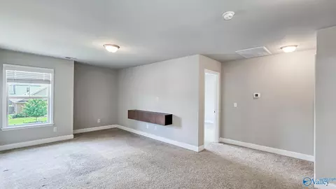 Other - 8790 Segers Trail Loop, Madison, AL 35756 photo 3 of 6