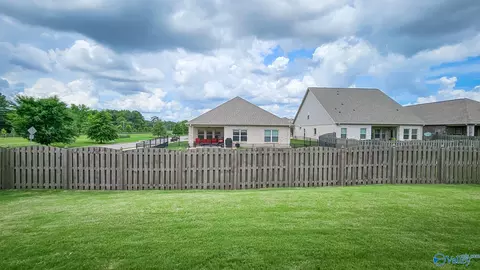 Exterior - 8790 Segers Trail Loop, Madison, AL 35756 photo 4 of 5