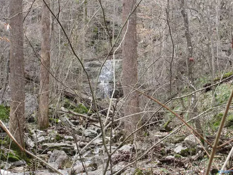1958 County Road 32, Fackler, AL 35752