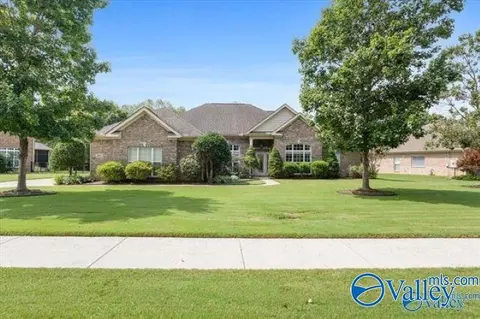 3110 Tenker Creek Ln, Owens Cross Roads, AL 35763