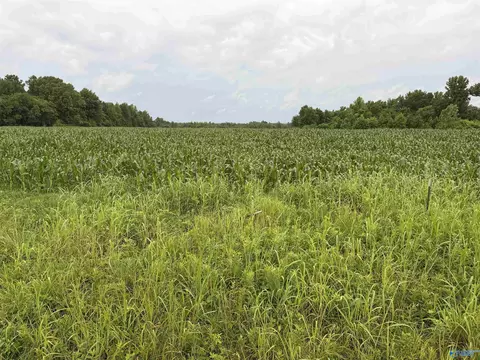 786 Acres County Road 133, Town Creek, AL 35672