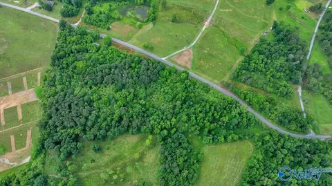 1639 County Road 368, Section, AL 35771 photo 20