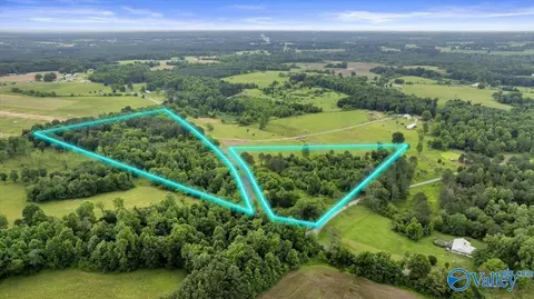 1639 County Road 368, Section, AL 35771 photo 9
