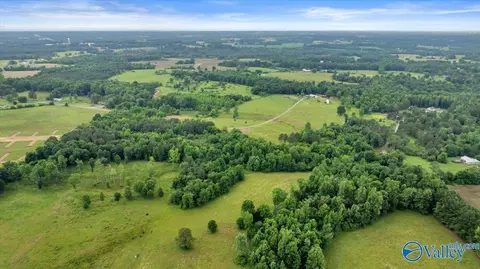 1639 County Road 368, Section, AL 35771 photo 15