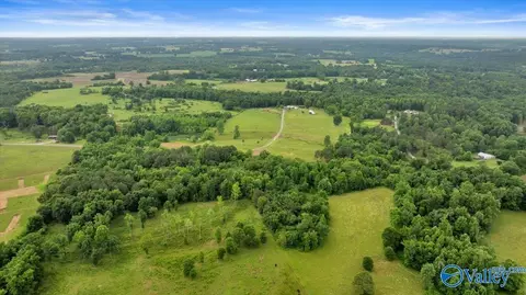 1639 County Road 368, Section, AL 35771 photo 14