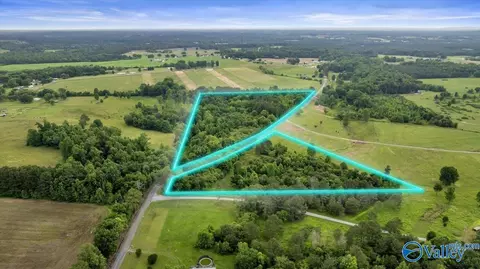 1639 County Road 368, Section, AL 35771 photo 2