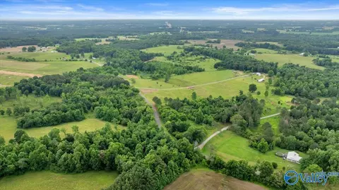 1639 County Road 368, Section, AL 35771 photo 17