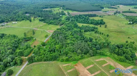 1639 County Road 368, Section, AL 35771 photo 16