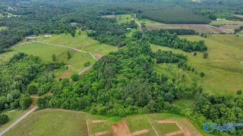 1639 County Road 368, Section, AL 35771 photo 13