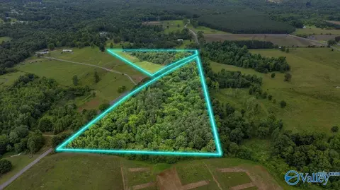 1639 County Road 368, Section, AL 35771 photo 3
