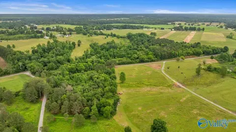 1639 County Road 368, Section, AL 35771 photo 12
