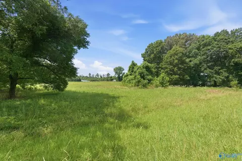 3563 E Upper River Rd, Decatur, AL 35670 photo 23