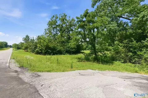 3563 E Upper River Rd, Decatur, AL 35670 photo 15