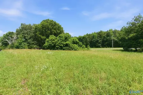 3563 E Upper River Rd, Decatur, AL 35670 photo 18